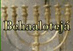 Behaaloteja