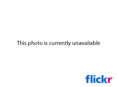 Parasha Vaietze: Aroma del Paraíso