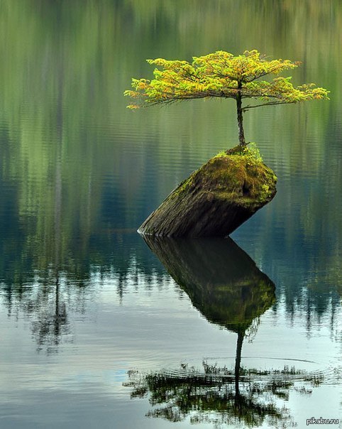 Una esperanza concreta