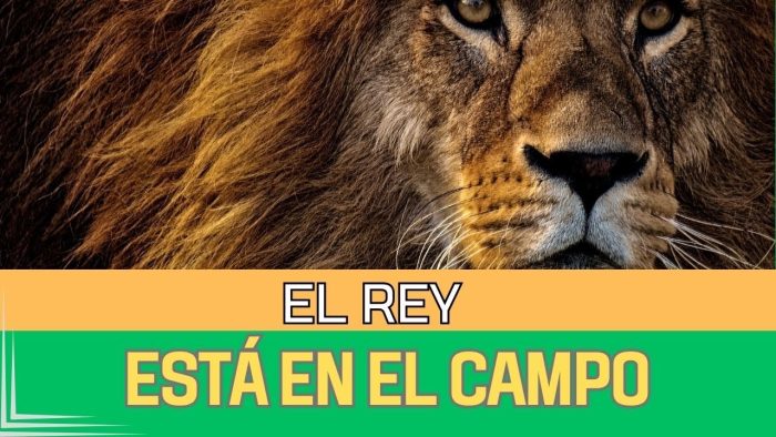 Respuesta 6007 – ¿El Rey siempre está cerca?