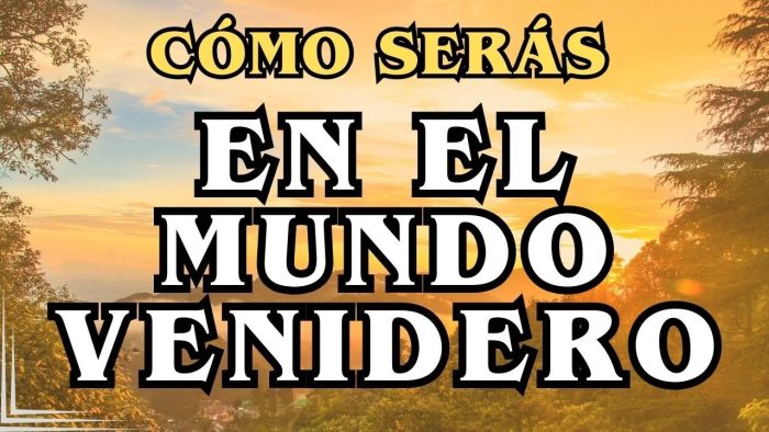 Respuesta 6009 – Perfeccionamiento al infinito