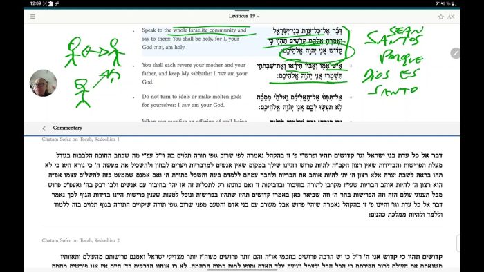 Resumen de parashá Kedoshim